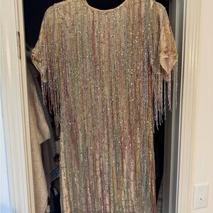 Sequin Fringe Dress